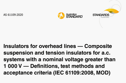 AS 61109:2020 pdf download