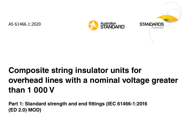 AS 61466.1:2020 pdf download
