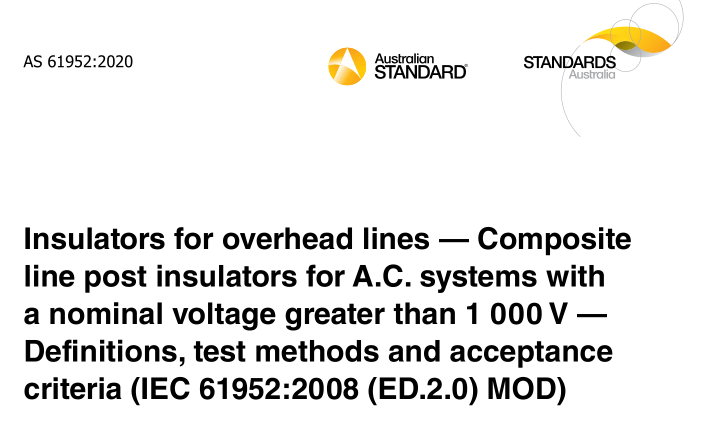 AS 61952:2020 pdf download