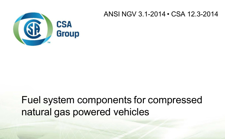 CSA 12.3-2014 pdf download
