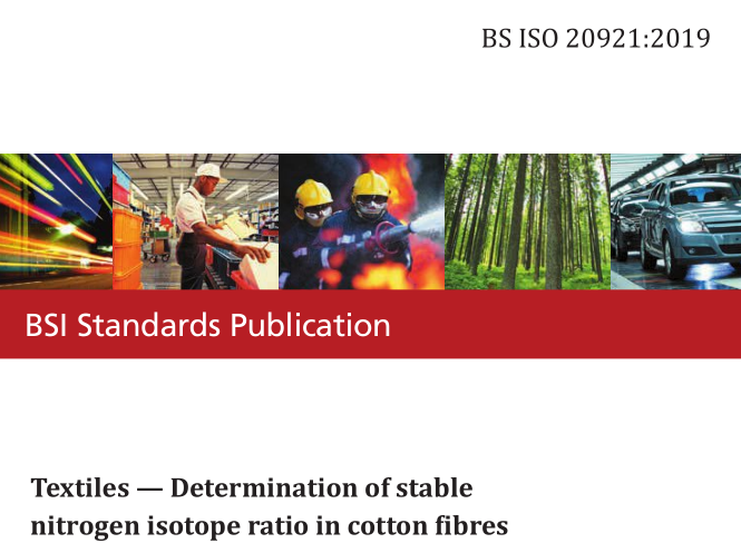 BS ISO 20921:2019 pdf download