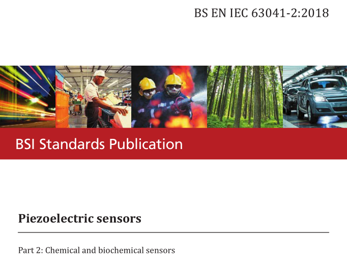 BS EN IEC 63041-2:2018 pdf download