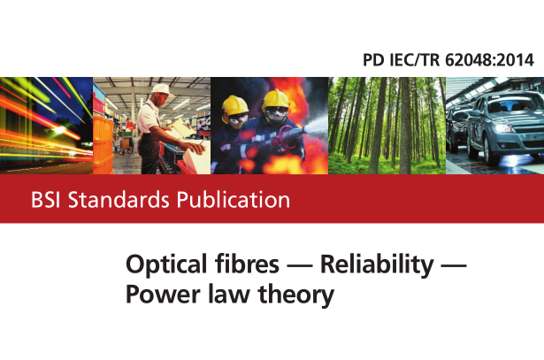 PD IEC TR 62048:2014 pdf download
