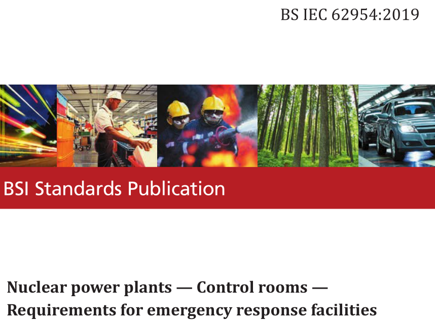 BS IEC 62954:2019 pdf download