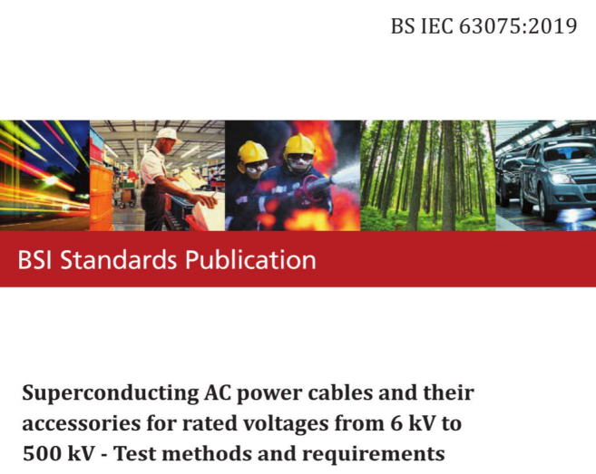 BS IEC 63075:2019 pdf download