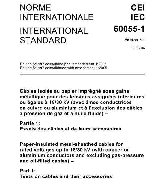 IEC 60055-1:2005 pdf download